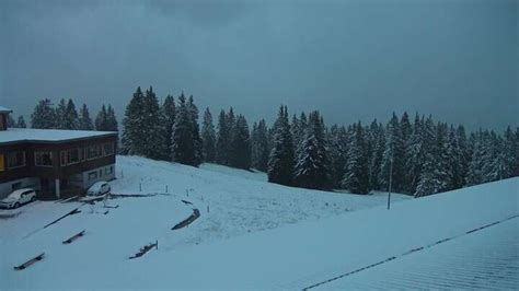 flumserberg tannenboden webcam|Webcams I Livebilder der Bergbahnen Flumserberg